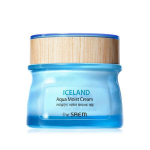 THE SAEMSaem- Iceland Aqua Moist Cream